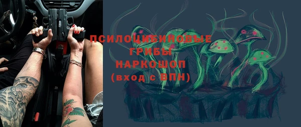 тгк Богданович
