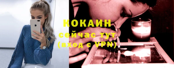 ПСИЛОЦИБИНОВЫЕ ГРИБЫ Белокуриха