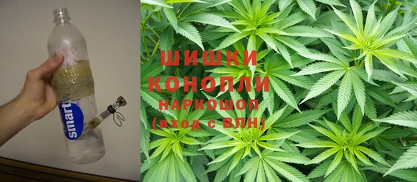 ПСИЛОЦИБИНОВЫЕ ГРИБЫ Белокуриха