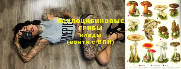 ALPHA-PVP Богородицк